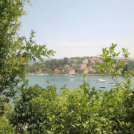 Apartment Tereza *